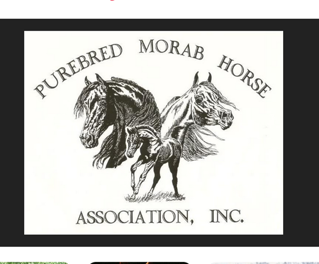 Eva Close tweet media