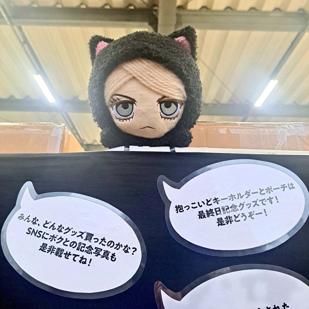 🩷🐉陽子🐉🩷 tweet media