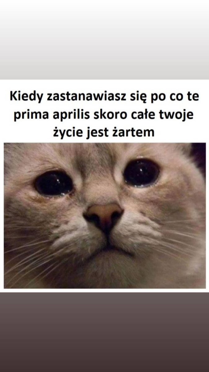 KamilGrzegorczyk #TurboPolska tweet media