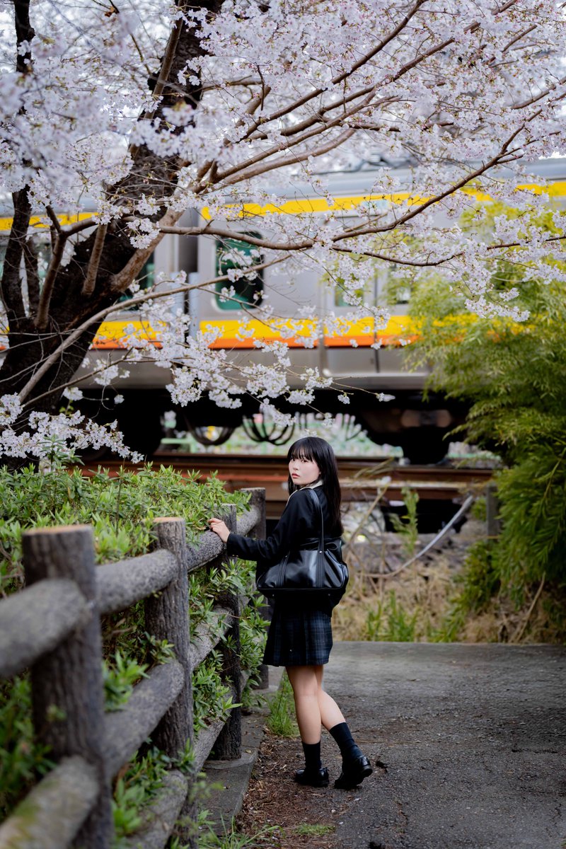 フロン tweet media