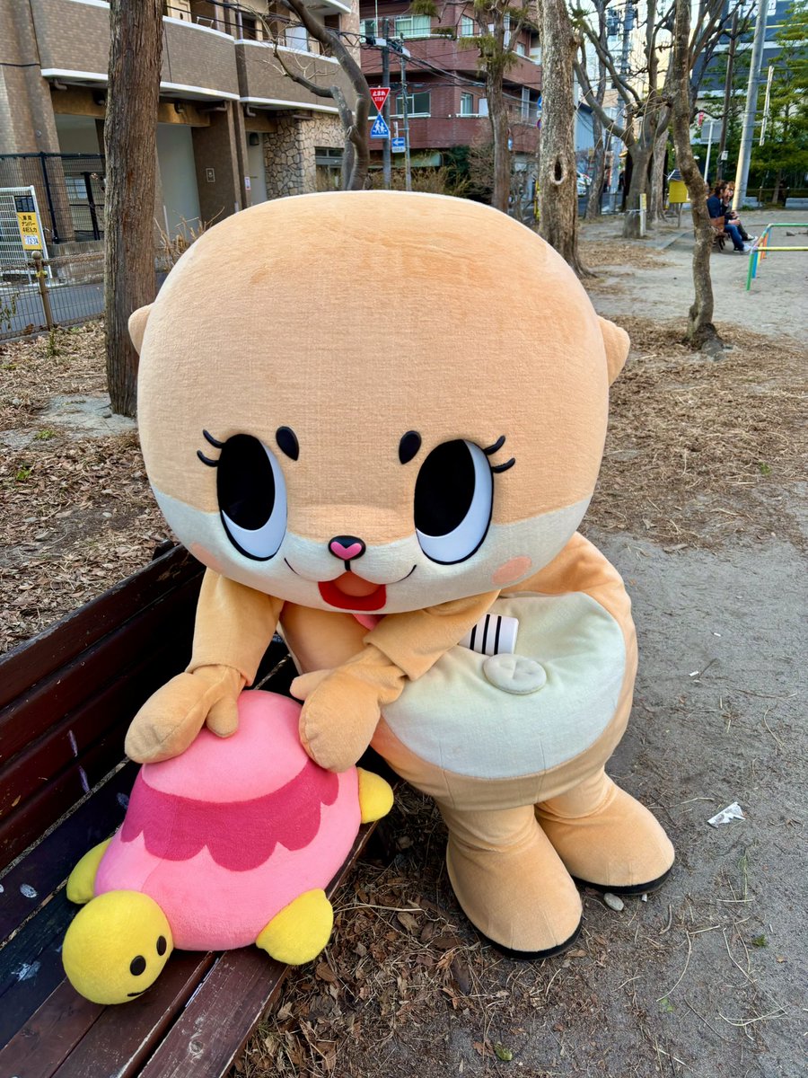 公式：ちぃたん☆仙台 tweet media