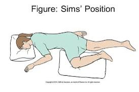 폐수생 tweet media