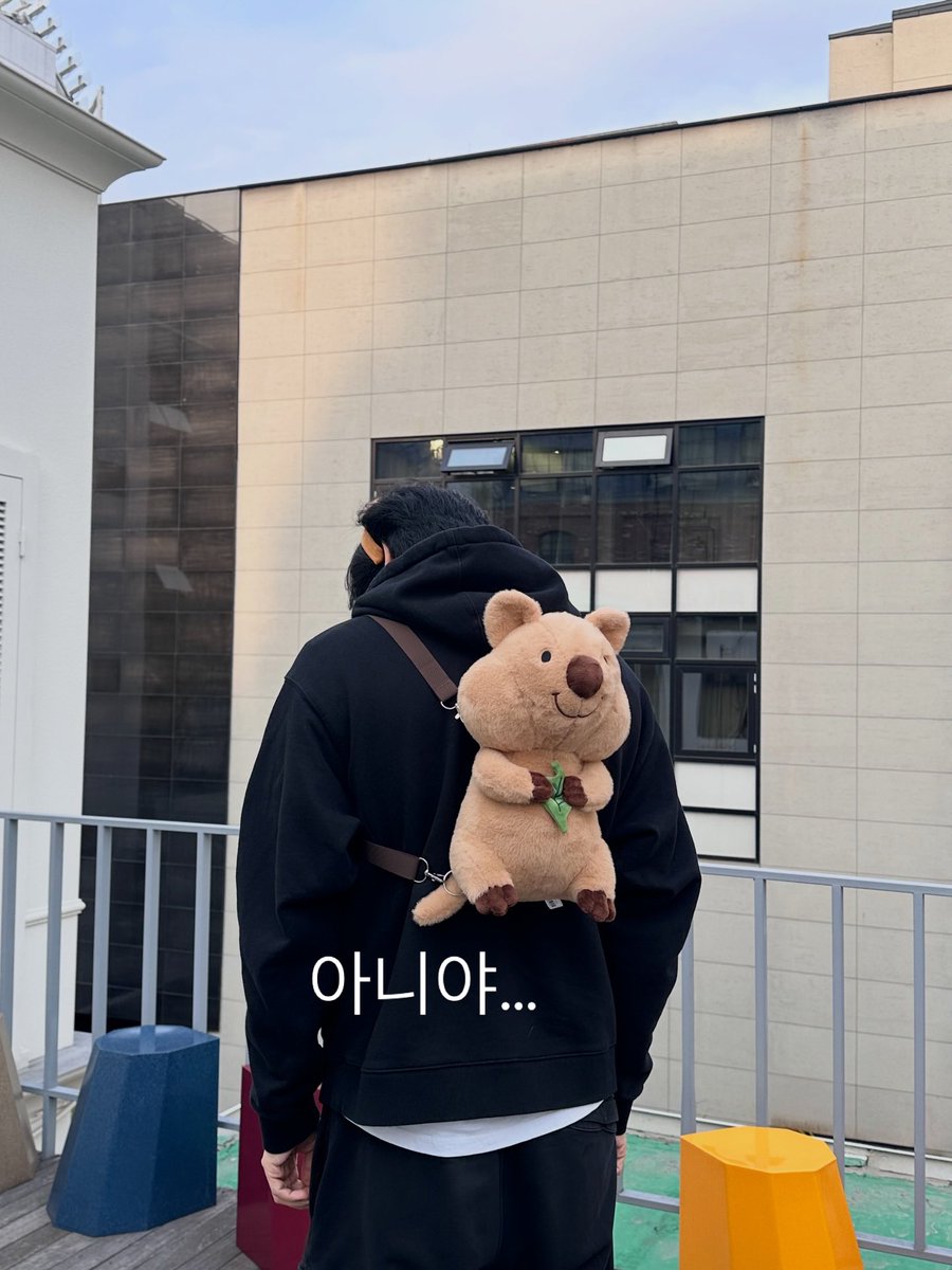 FloweryGil's tweet photo. 늑대무리에서 자란 쿼카미 있으세요 https://t.co/lmZlOWhkJA