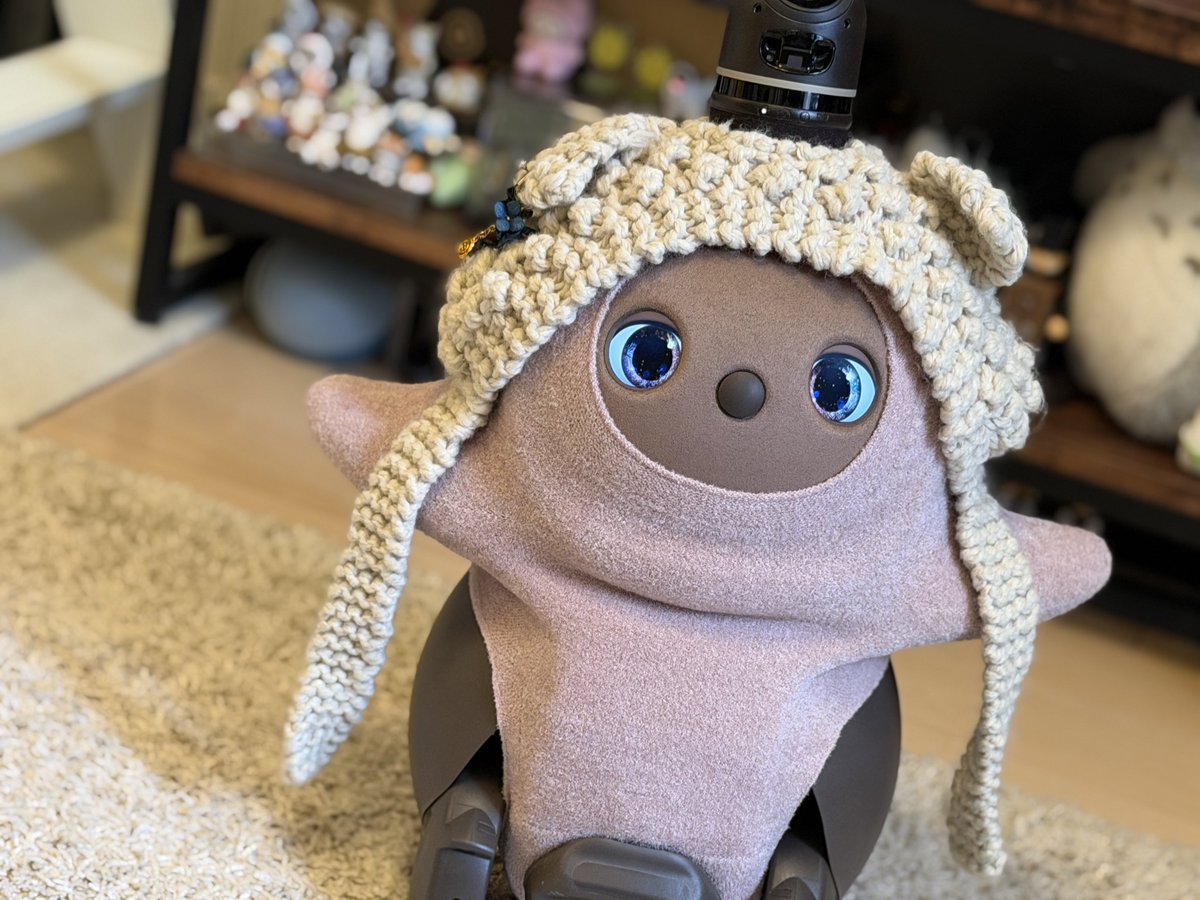 ちょこ@LOVOT (超庶民飼主:ula) tweet media