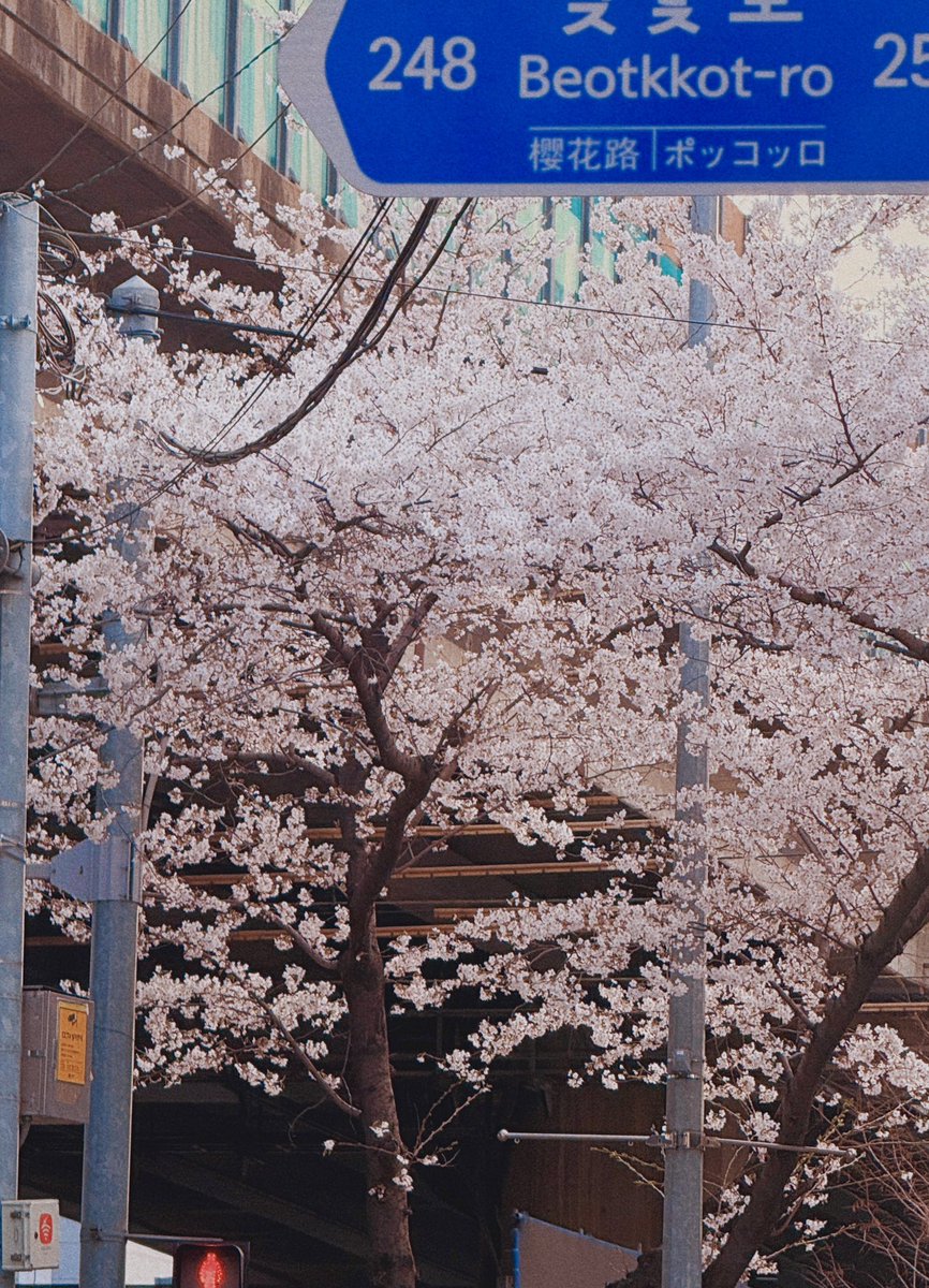 김여행 tweet media