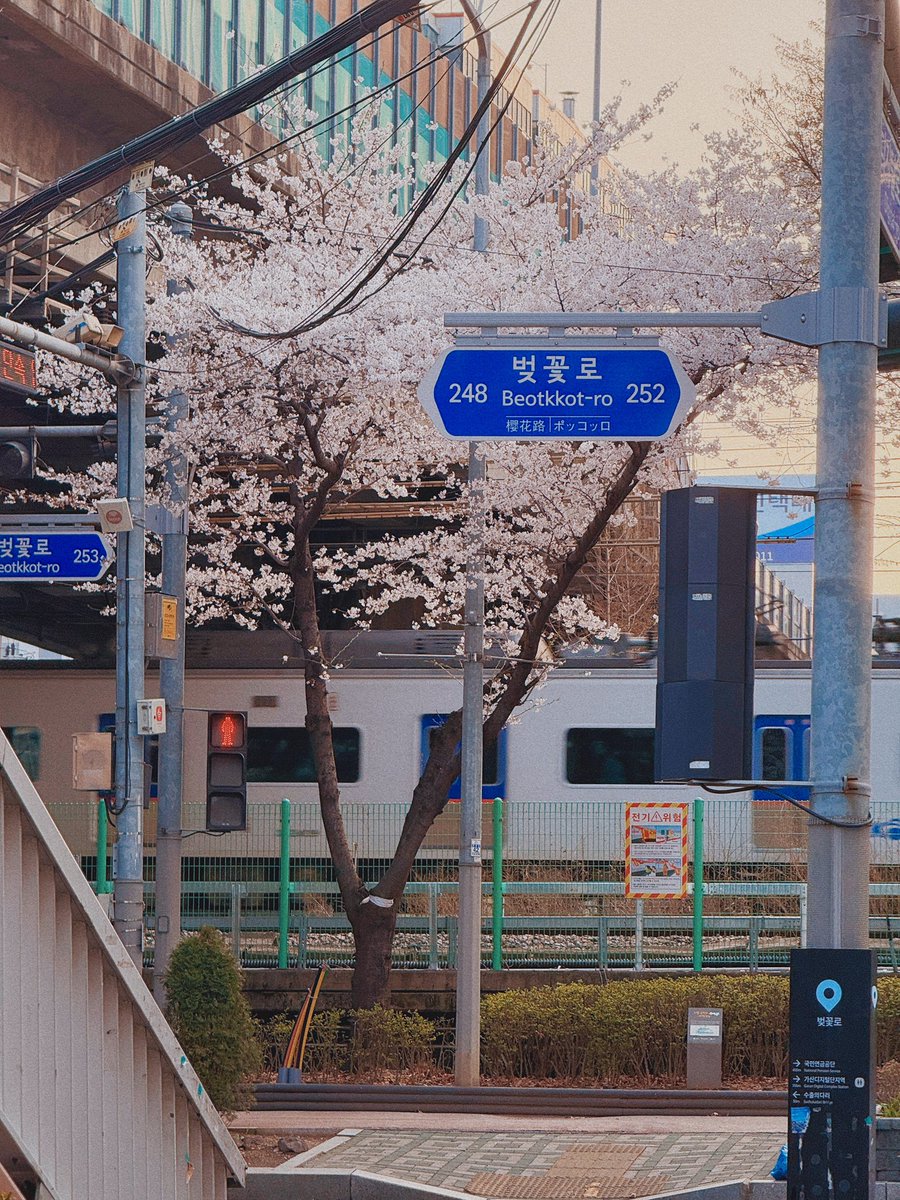 김여행 tweet media