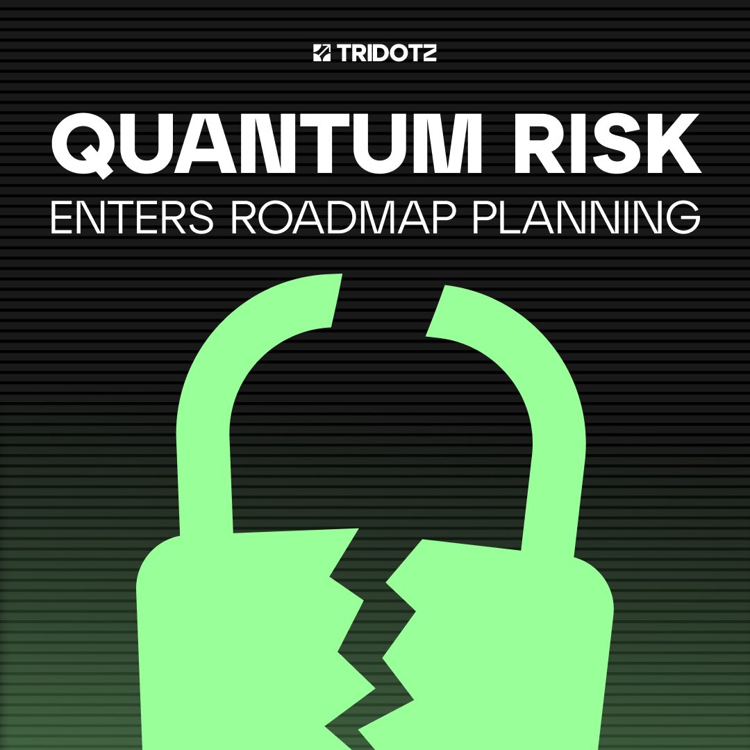 TRIDOTZ | web3 auditing, developing, & investing tweet media