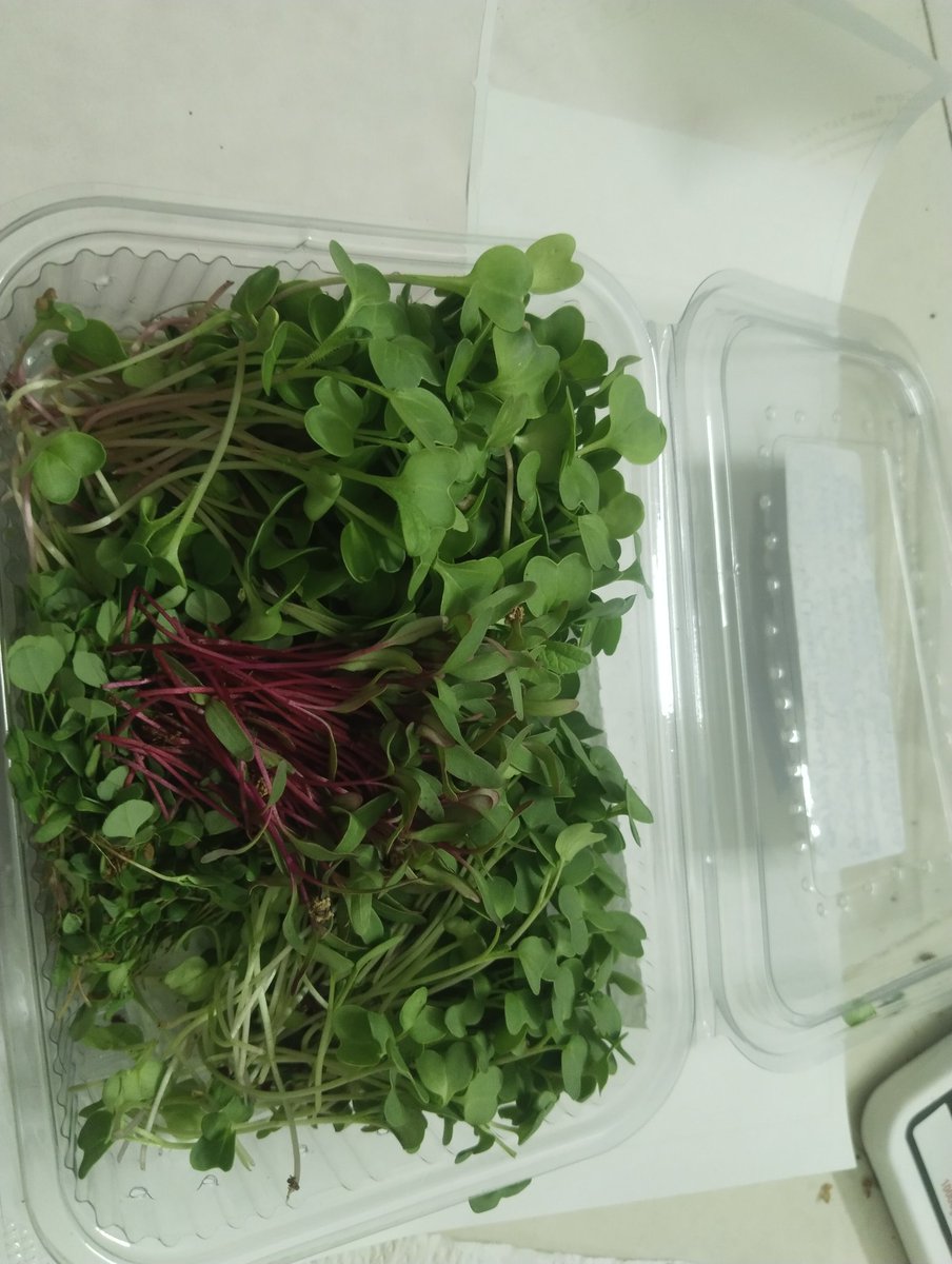 काफ़िर 𑚊𑚭𑚟𑚷𑚮𑚤 tweet media