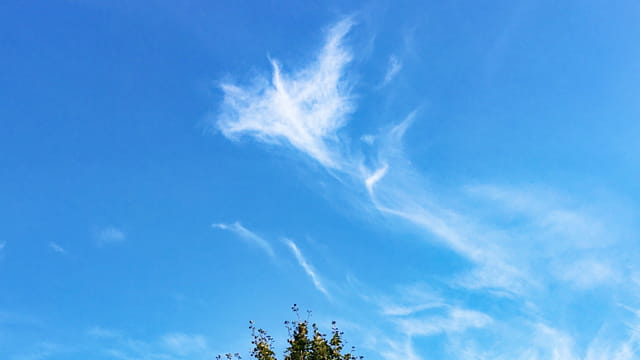 ニッポン城めぐり tweet media