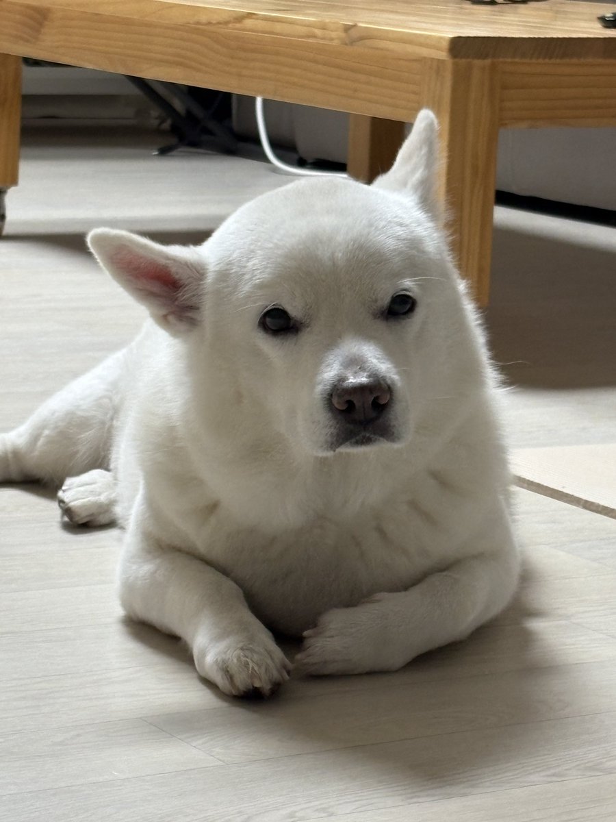 🐻‍❄️내이름은 윤석이🐻‍❄️ tweet media