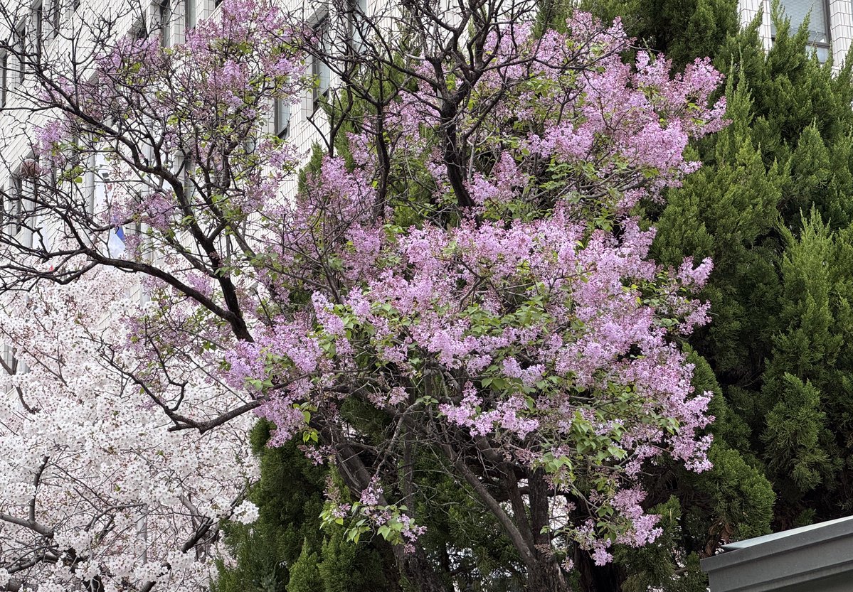 𝑖𝑛𝑔 tweet media