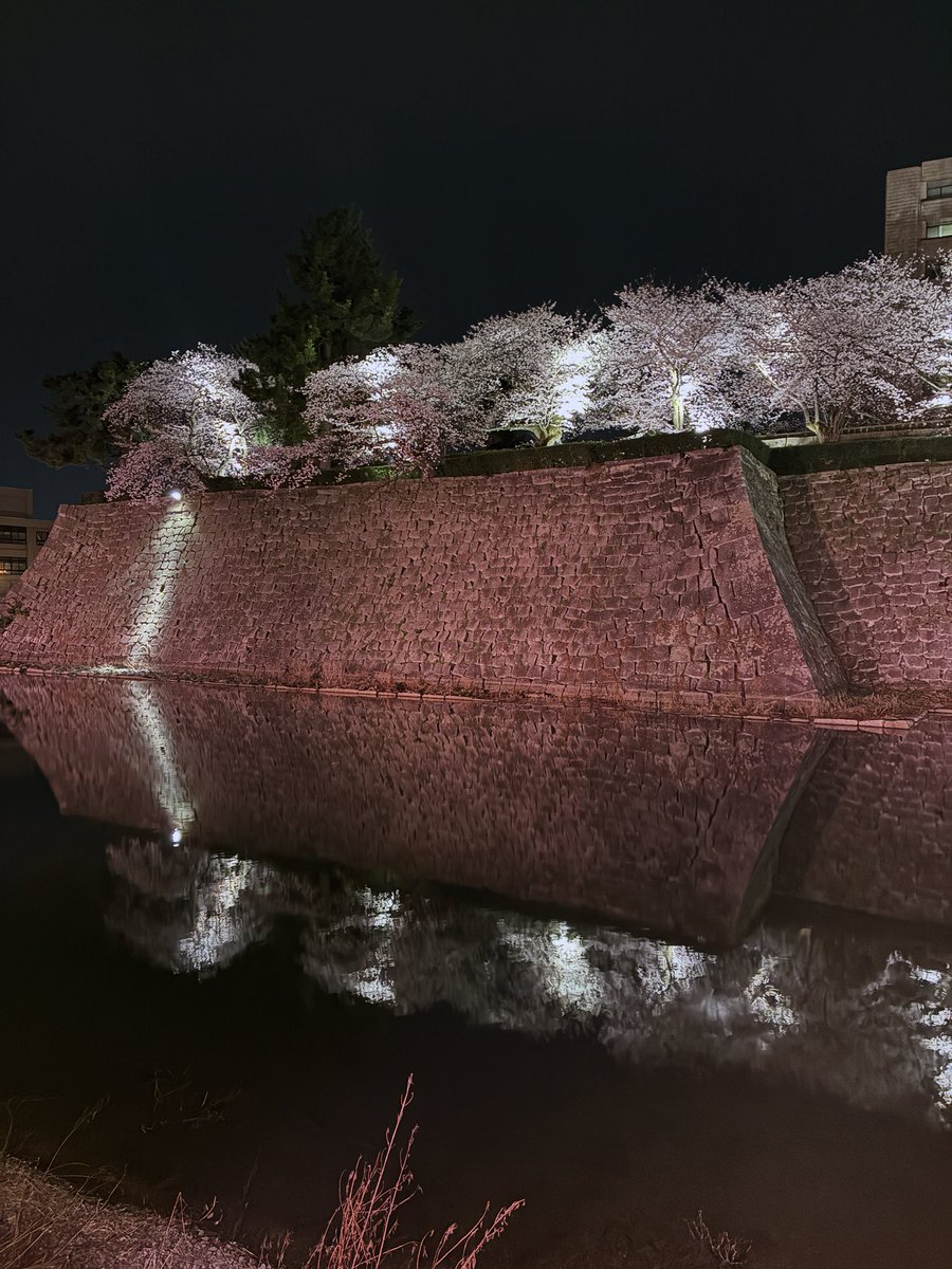 【公式】福井城｜Fukui Castle tweet media