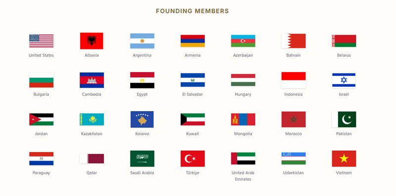 Jack Terrier 🇺🇸 tweet media