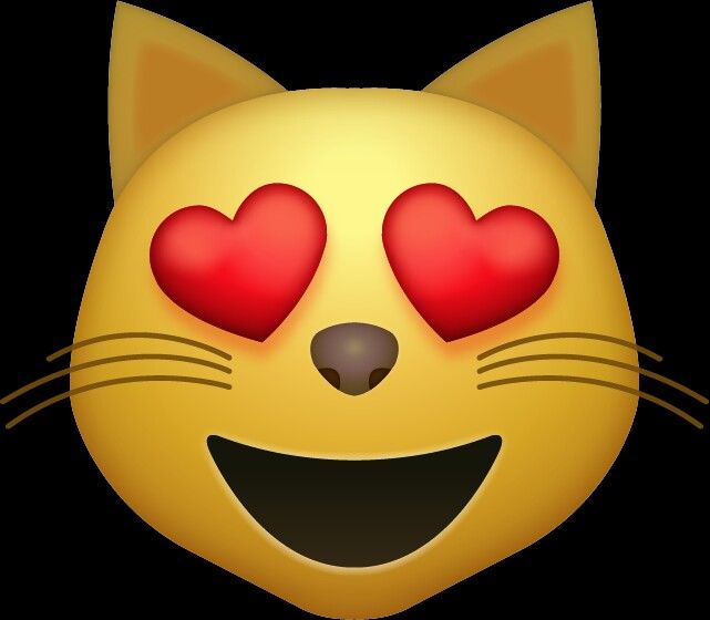 Auntie Balljob the Sourdough Lover tweet media