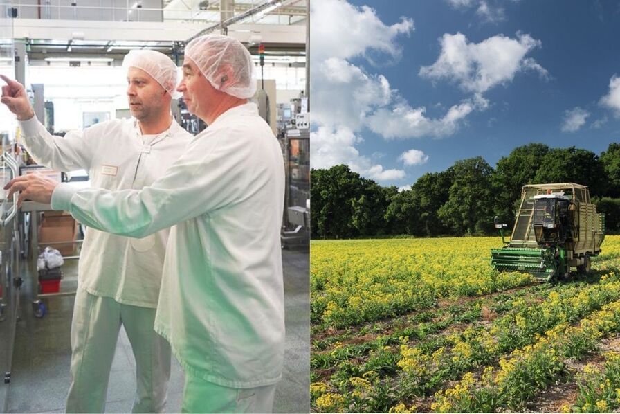 LSA Commerce & Conso tweet media