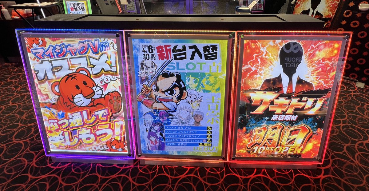 新海ひな🦭 tweet media