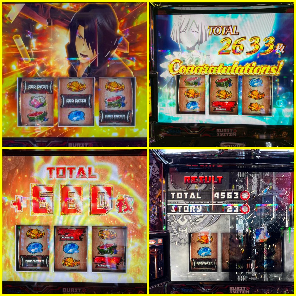 新海ひな🦭 tweet media