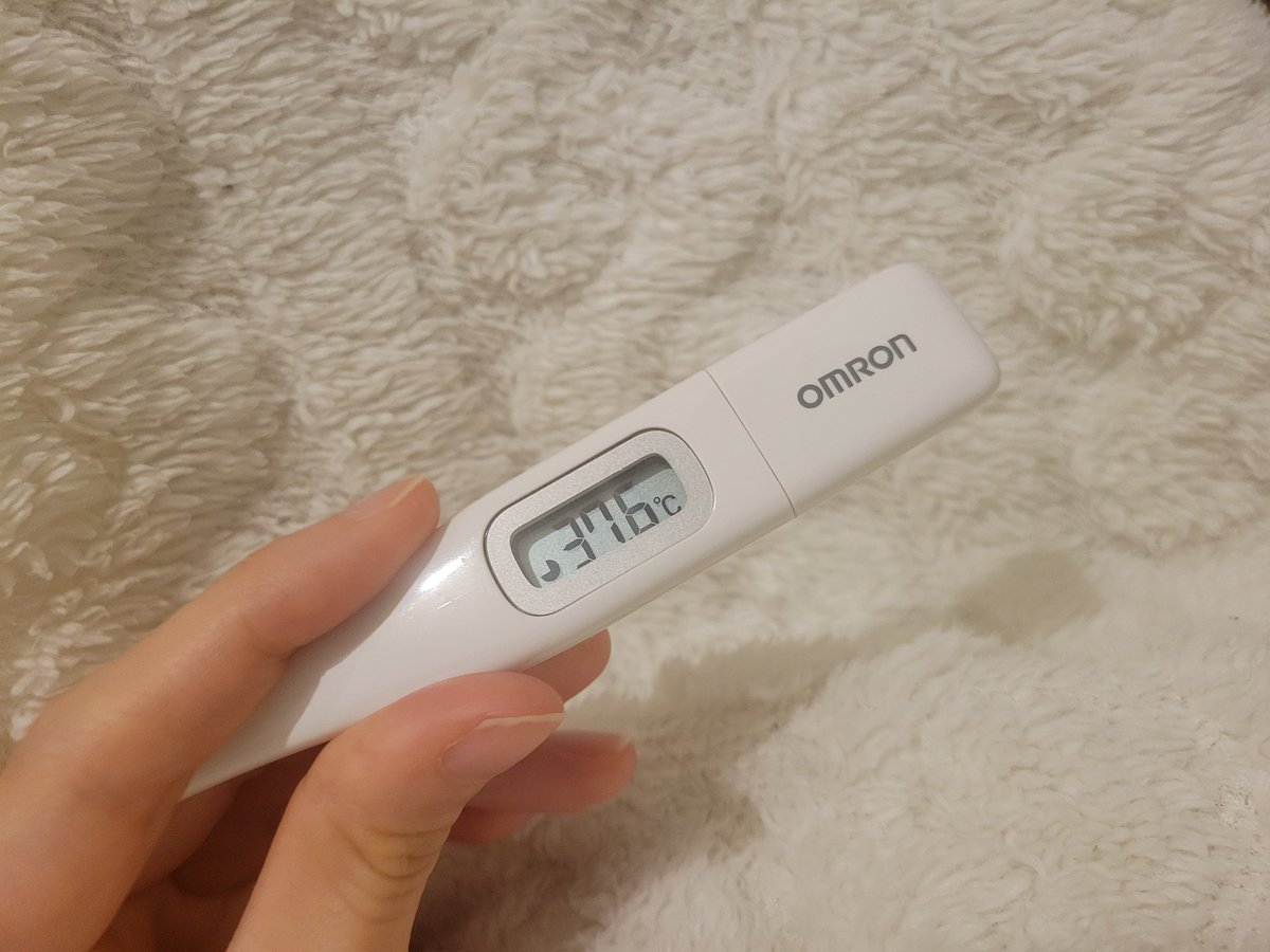 たかぎりポン汰 tweet media