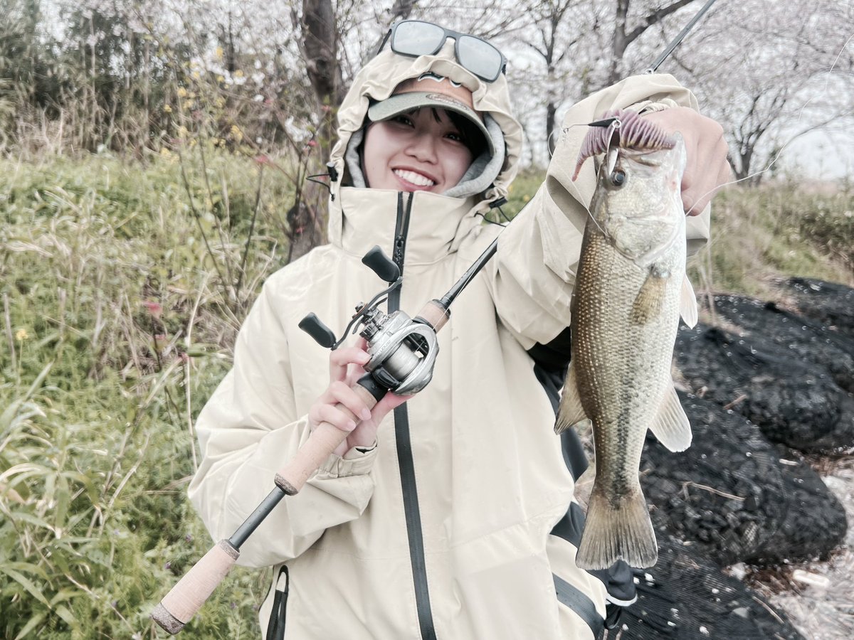 ゆいの tweet media