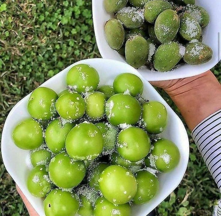 رحمــــــة 🇸🇾 tweet media