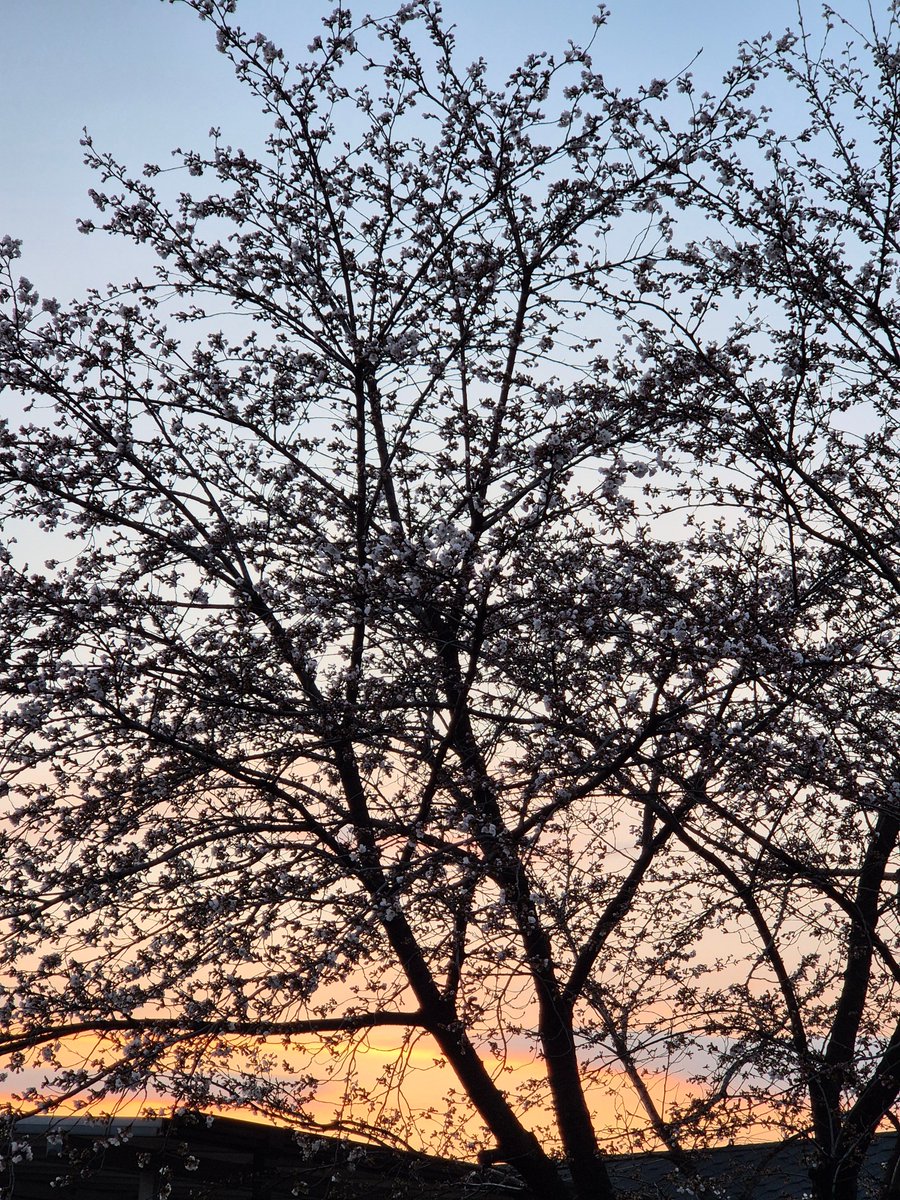 추니추니 입춘이🎗 tweet media