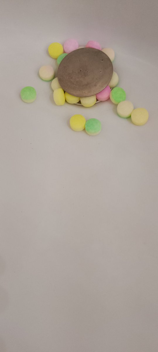 Saudi zoologist tweet media