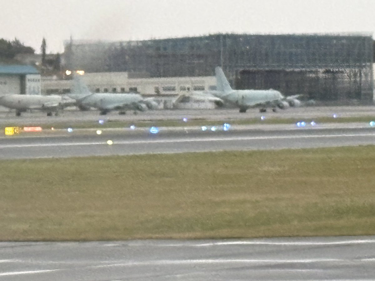 えーこく🟦 tweet media