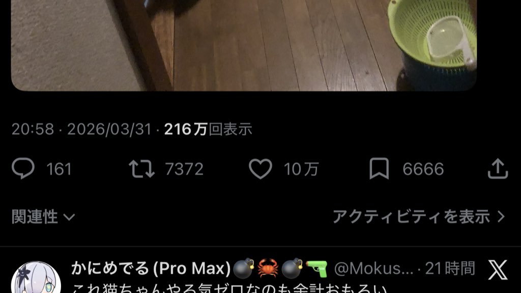 かにめでる(Pro Max)💣🦀💣🔫 tweet media