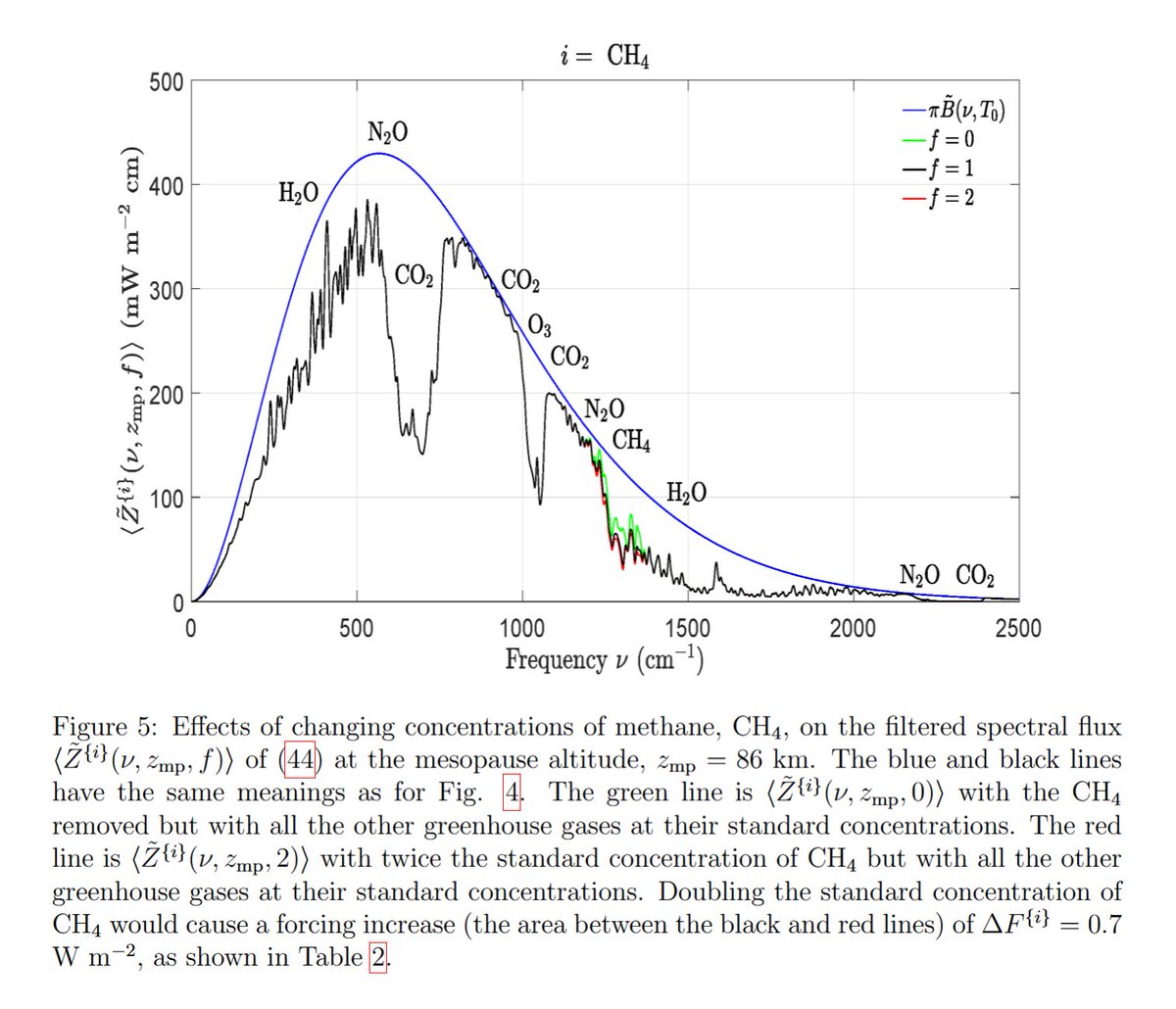 Indonesisches Bergwiesel tweet media