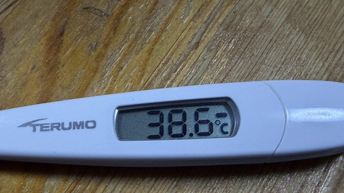 とし”ぼぶ”ぞう虫 tweet media