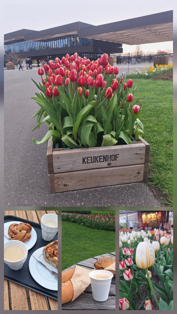 BílýŠťastnýDrak 🐉 tweet media