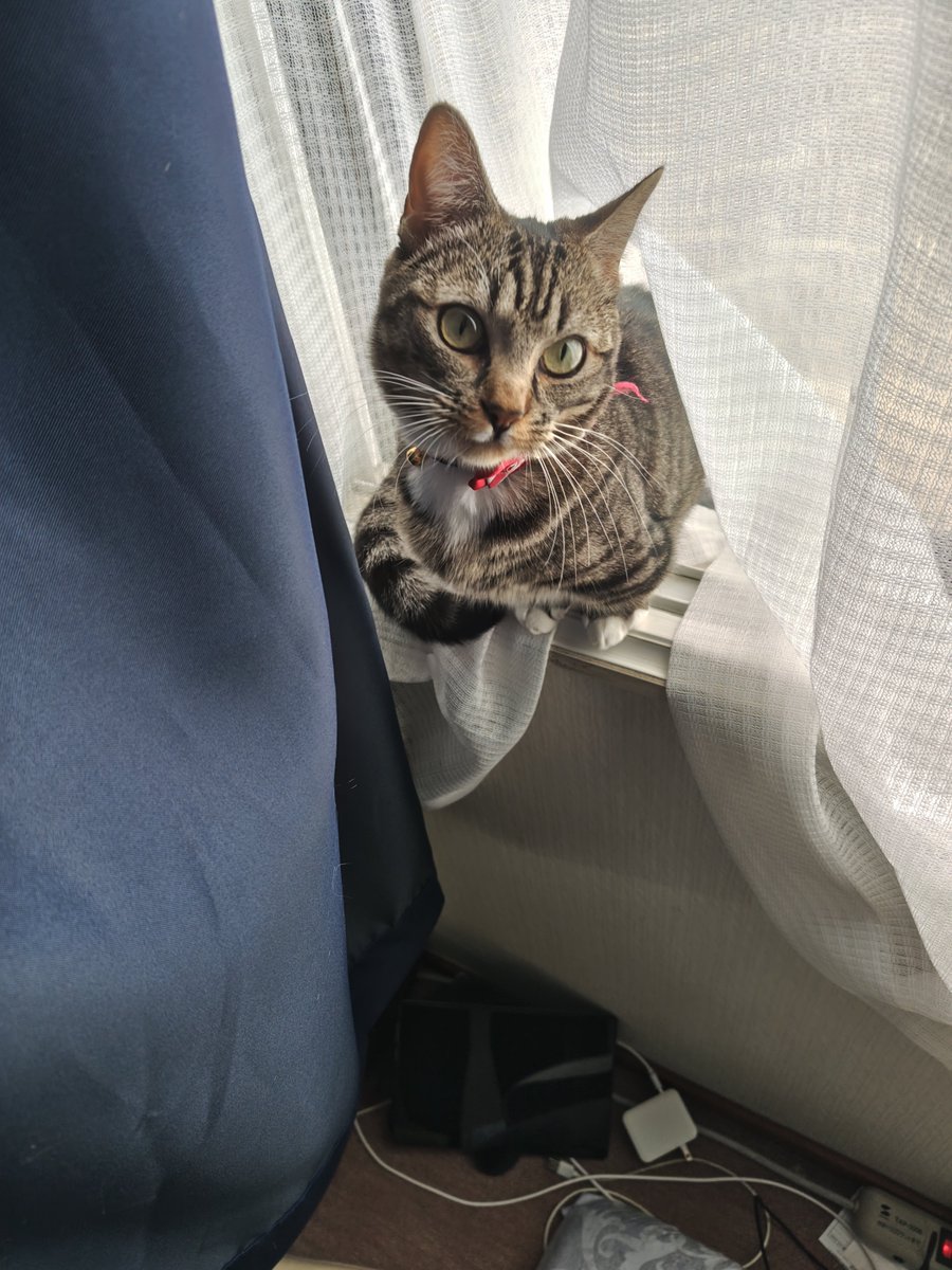 ロマン走行⚔️🎮🍖 tweet media