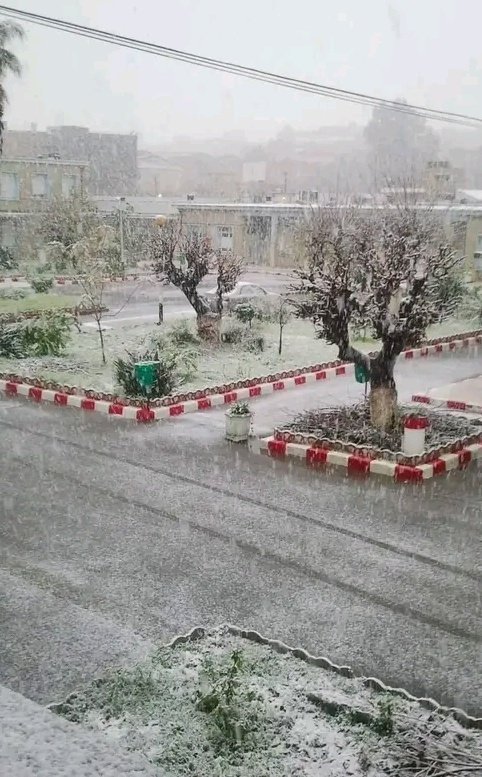 🇩🇿نُورسِِين|شَرِيعِيَّة🇩🇿 tweet media