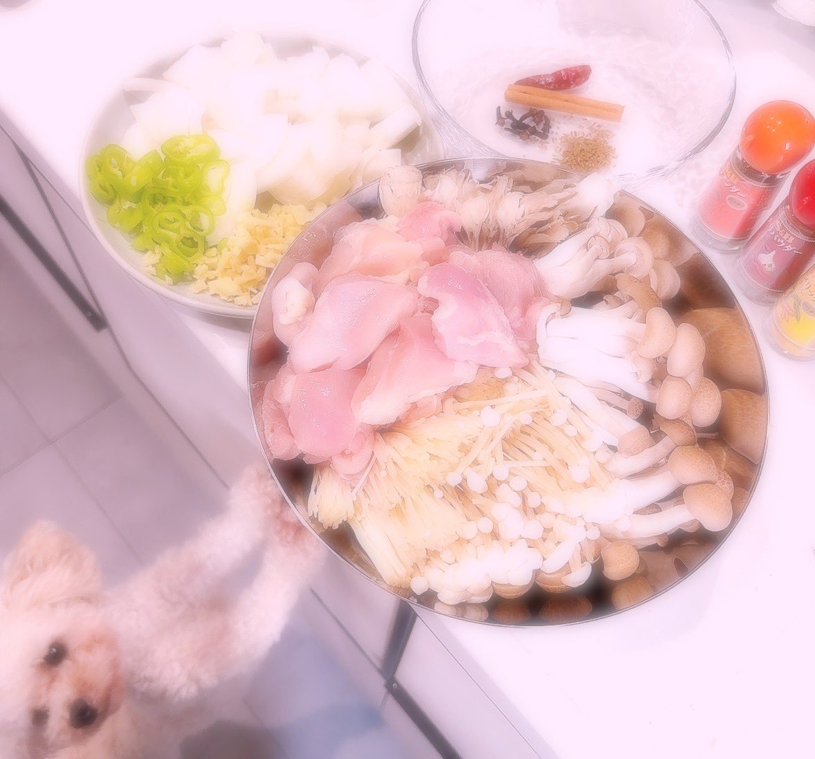 tomoka💋 tweet media