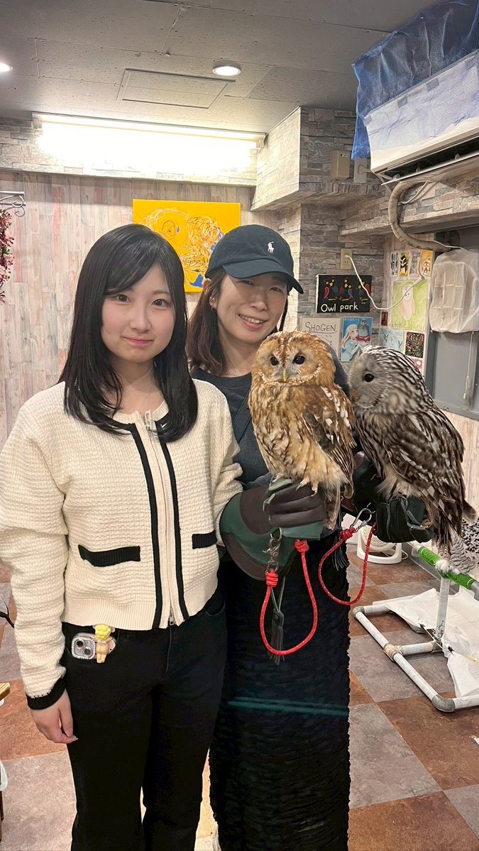 あうるぱーく フクロウカフェ池袋 ℡03(3984)1097 Owlcafe Tokyo tweet media