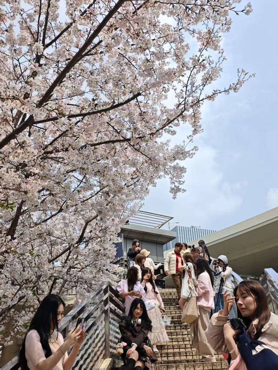 杨文理 tweet media