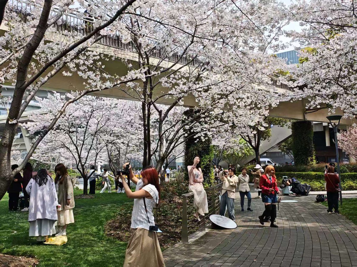 杨文理 tweet media