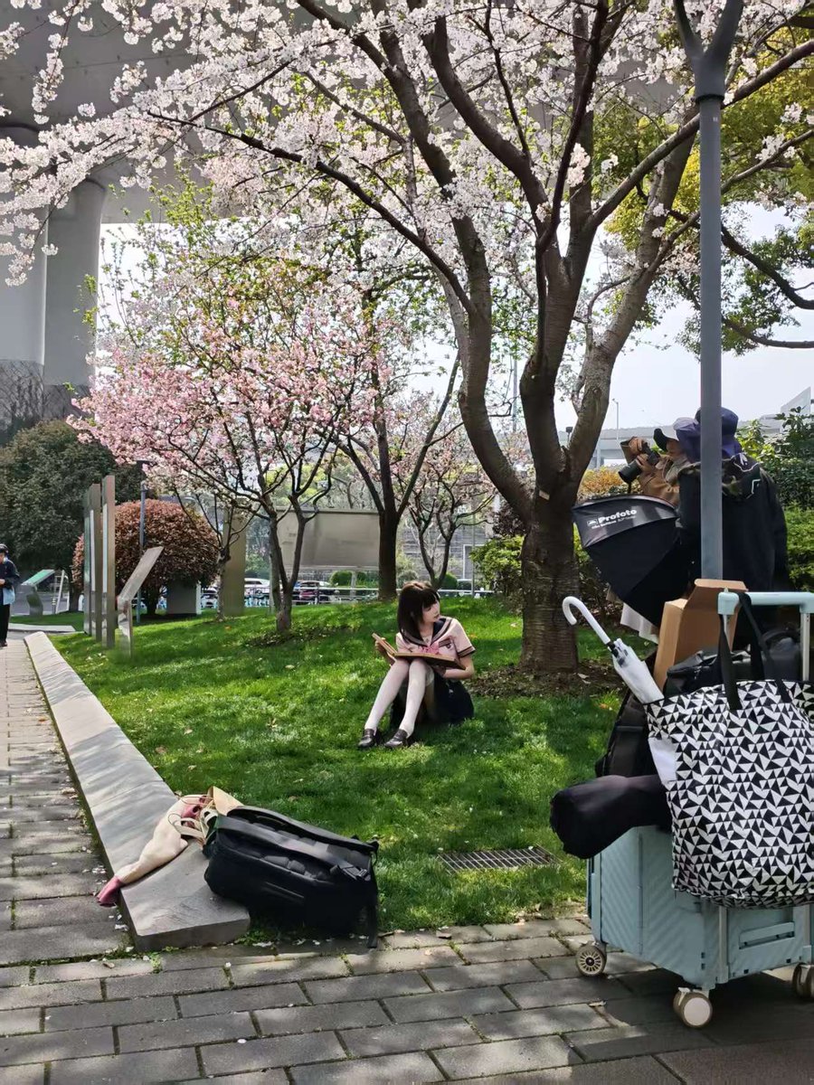 杨文理 tweet media