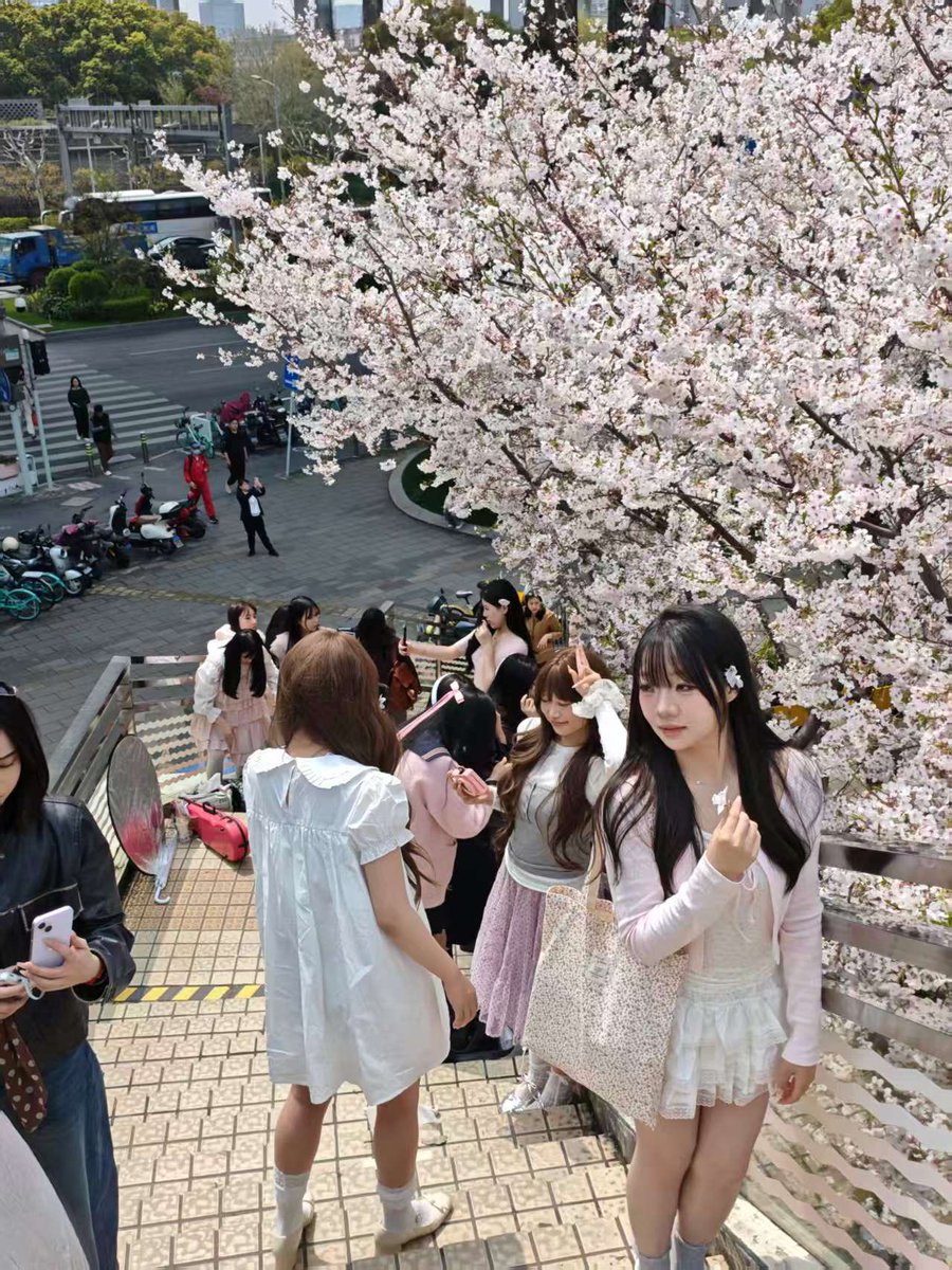 杨文理 tweet media