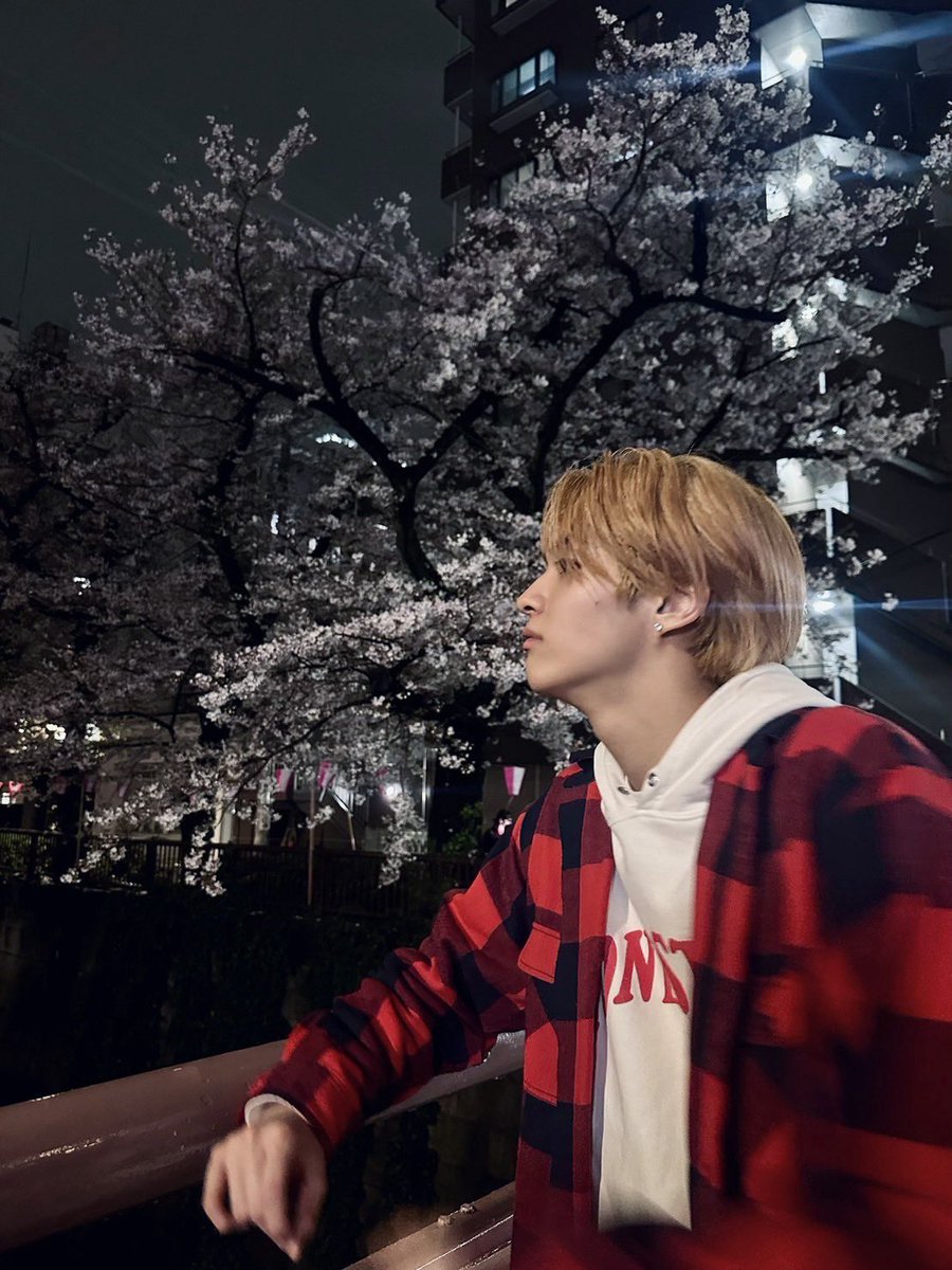 LDH SCREAM OFFICIAL tweet media