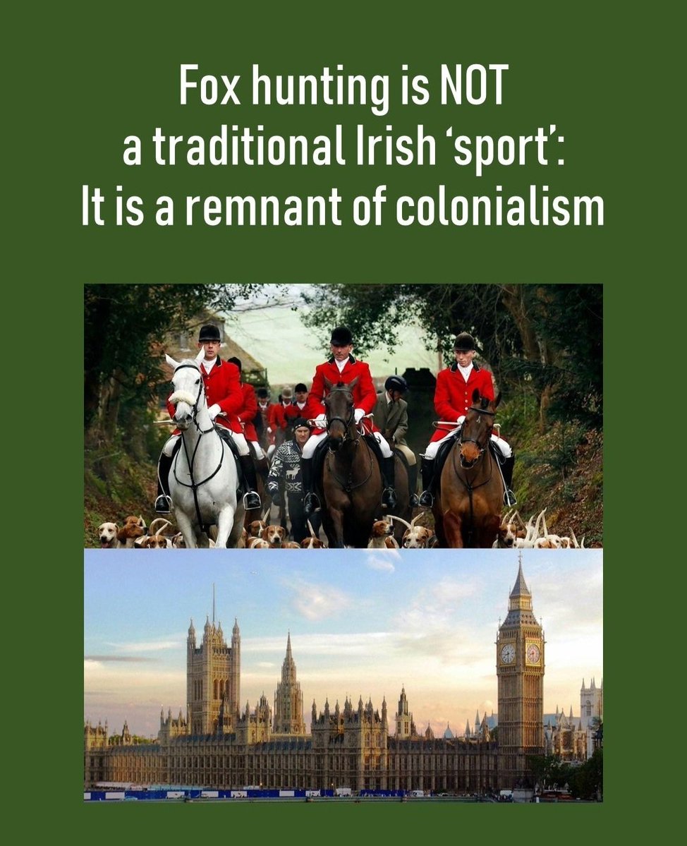 Máire 🇵🇸 tweet media