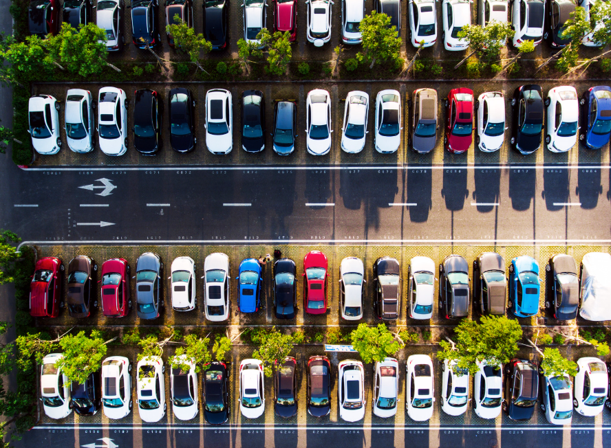 Whitley Stimpson tweet media