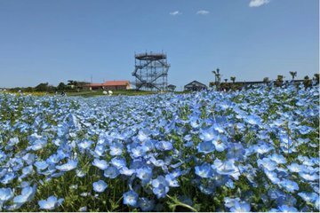 レッツエンジョイ東京 tweet media