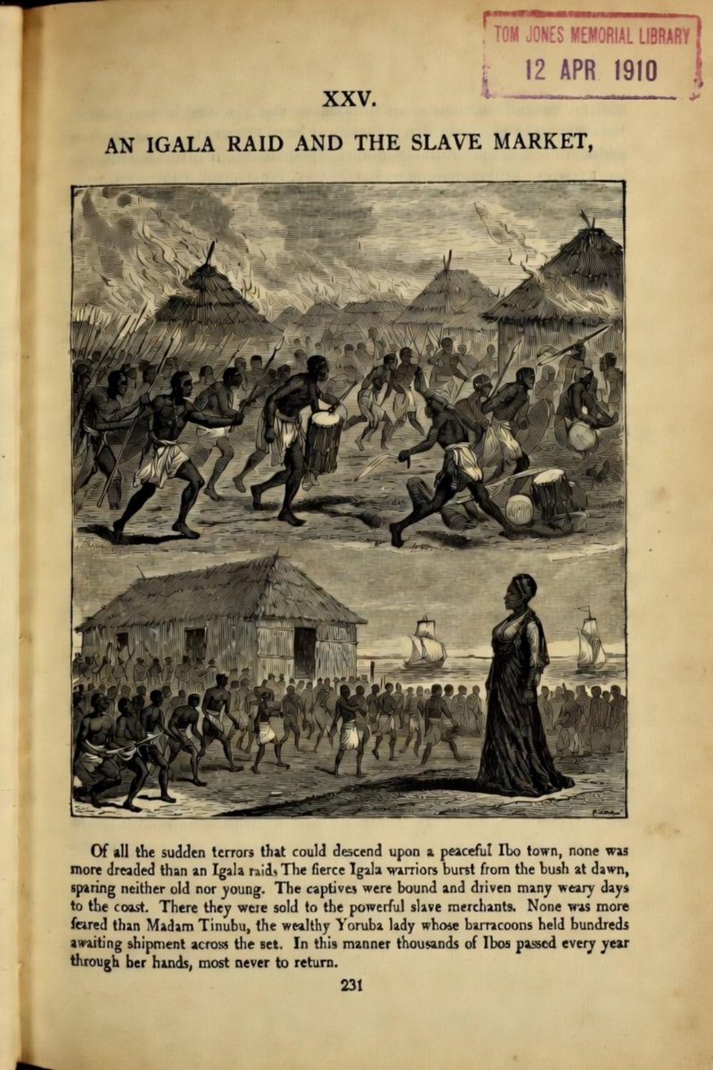 THE TROJAN BEAST tweet media