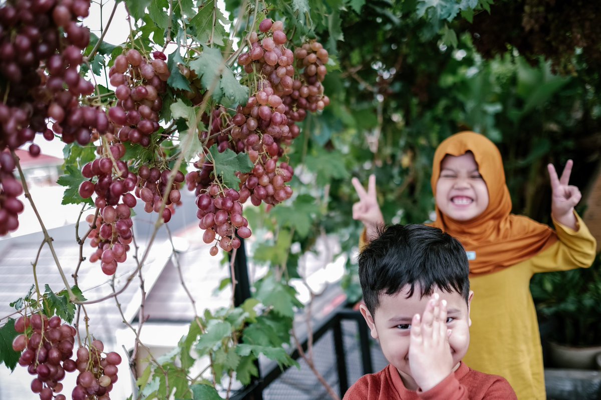 Container gardening tweet media