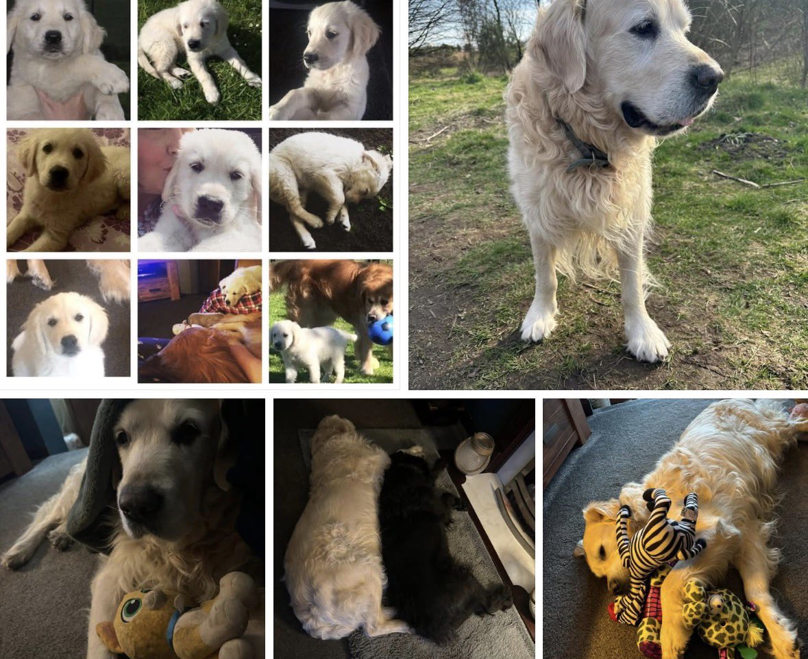 Benge & Dots tweet media