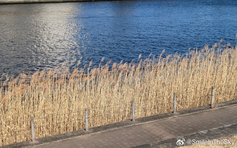 Yusuf60310677's tweet image. Traded my 3-hour daily commute for a 10-minute walk to work—now I wake up later, breathe fresher air, and have extra time for morning coffee  #LifeShift #SmallWins