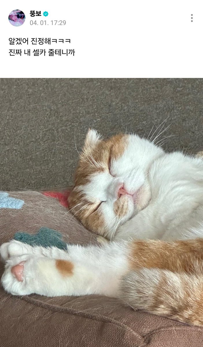🦋🐶오예wi🐱🦊 tweet media