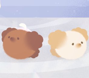 モフワンと暮らします✌️😊