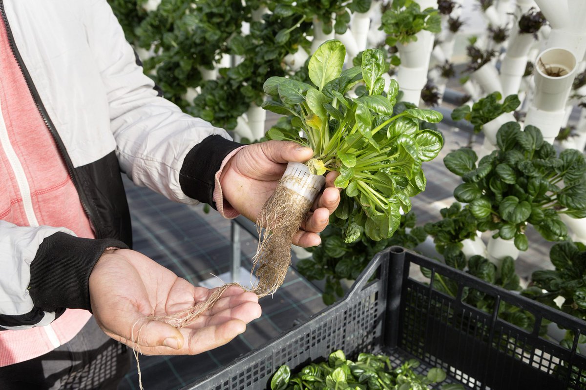 Farming First tweet media